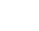 Owl in a Towel